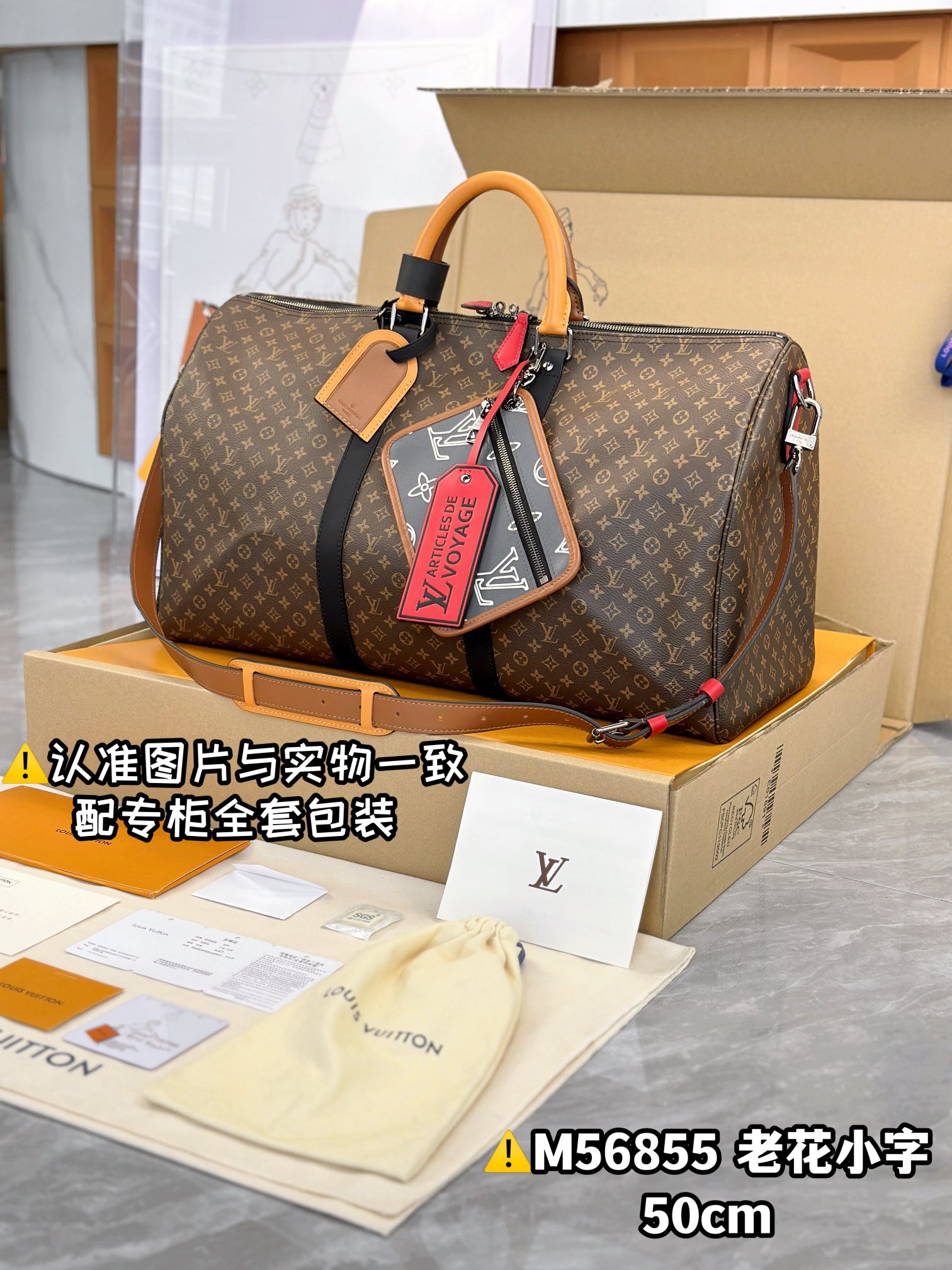 LV Travel Bags